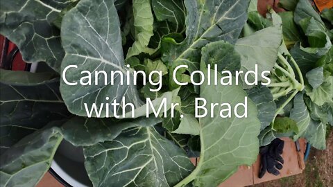 Canning Collards with Mr. Brad