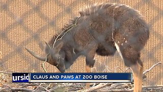 Claus and Paws event offers free admission to Zoo Boise