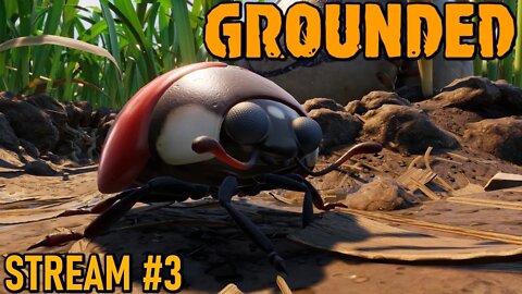 Grounded 1.0! The full release! | Stream 3 #live