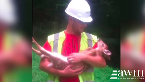 Tough Guy Rescues Baby Deer, Gets Precious Thank You From The Animal