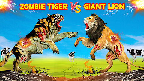 Giant Lion vs Zombie Tiger Zombie Animals Videos Lion vs Tiger Cartoon Cow 3d Epic battle
