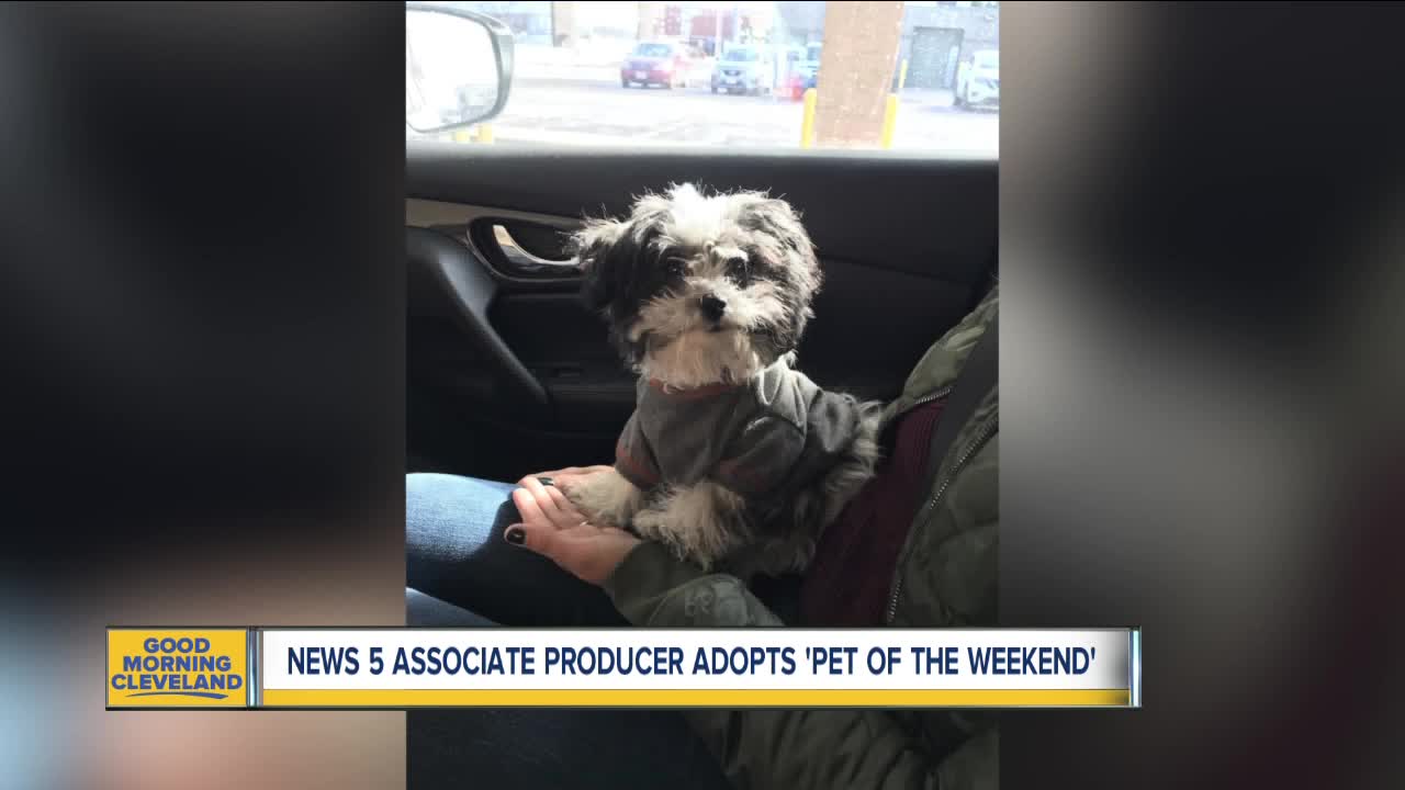 News 5 associate producer adopts 'Pet of the Weekend'