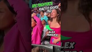 UFC Fighters Reaction To Sean O'Malley's TKO Win at UFC 292 #mma #ufc #ufcshorts