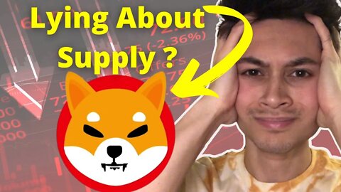The Shiba Inu Developers LIED | What's Next?