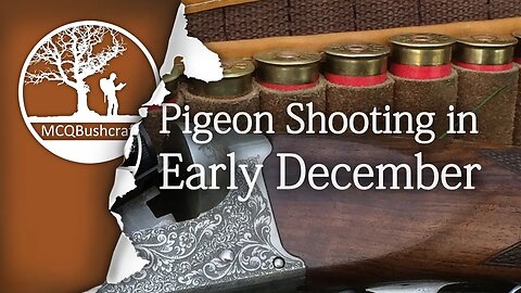 Bushcraft Hunting Pigeons in Early December