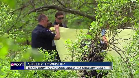 Man's body found in shallow creek in Shelby Township