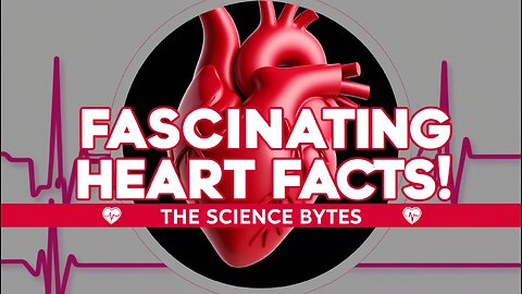 Fascinating Heart Facts You Need to Know! | The Science Bytes