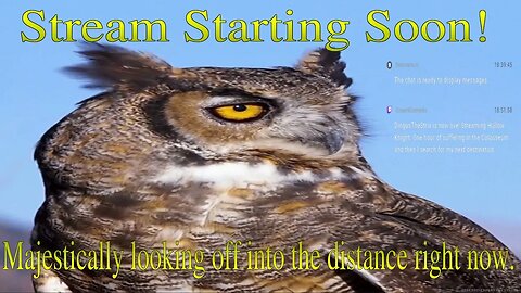 Miserable owl goes INSANE in the Colosseum of Fools... BUT HE WINS?!?!