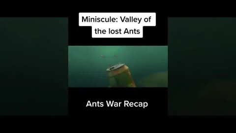 Ants war Recap