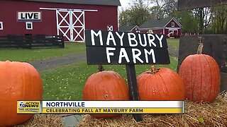 Fall Fun at Maybury Farm