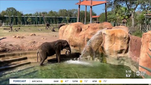 #TampaBay bucket list: ZooTampa at Lowry Park at Lowry Park