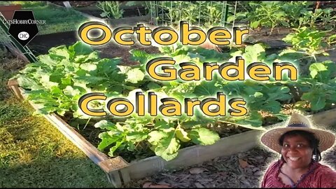 Garden Update for October 4th