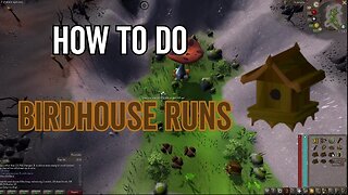 OSRS - How to Do Birdhouse Runs for Hunter EXP