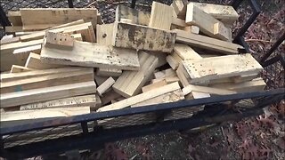 Huge Wood Haul For The Off Grid Project ™ And Tiny House
