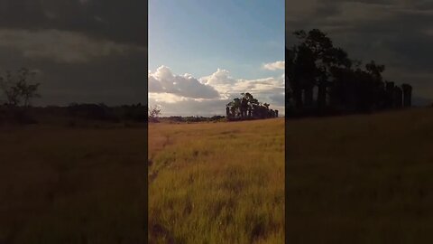 AS RUÍNAS DE UM ENGENHO ESQUECIDO EM CAMPO GRANDE RJ!