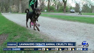 Lawmakers debate animal cruelty bill