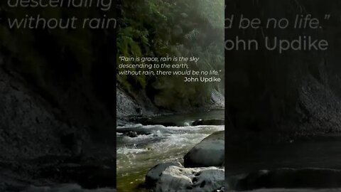 Rain is grace - Morning rain over a rocky river with rays of sunshine #short