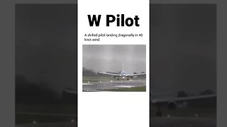 W pilot!👨🏼‍✈️ #shorts #pilot #plane #viral #subscribe #shortvideo #reels #viralreels #stunt #nice