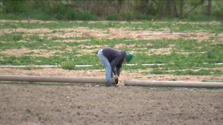 Changing climate poses a challenge for farmers in southeast Wisconsin