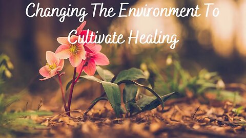 Self Development: Changing The Environment To Cultivate Healing