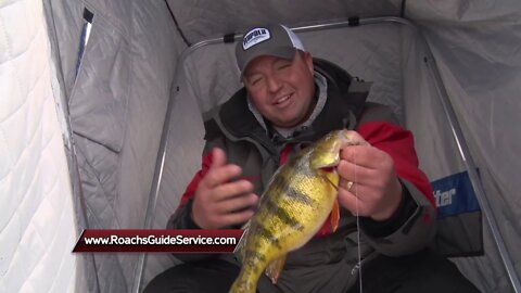 How to Catch Jumbo Perch Through The Ice