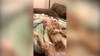Cat And Baby Have A Nap Time Together