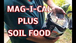 Using Mag-I-Cal Plus in my townhouse backyard