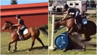 Stubborn horse refuses to jump over obstacle