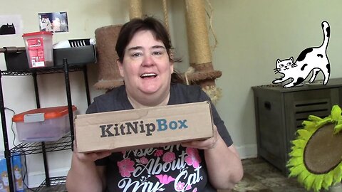 Kitnip Box (Summer Picnic) August 2023 😻