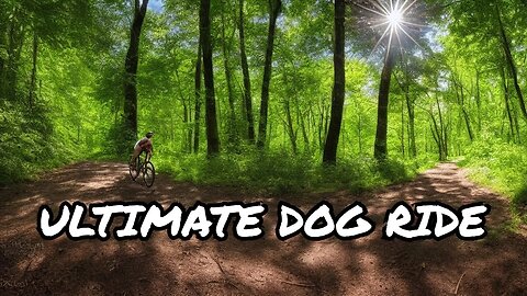 Discover the Ultimate Biking Experience with My Dog Rex