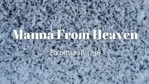 Exodus 16:1-36 (Teaching Only), "Manna From Heaven"