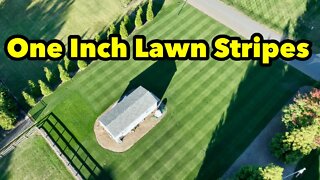 Lawn Striping Roller Mowing Low ONE INCH