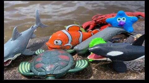 Sea animal Toys this summer at the shore