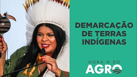 Demarcação indígena: mais de 500 famílias podem perder suas terras em SC | HORA H DO AGRO