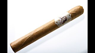 La Perla Habana Grand Pearl Toro Cigar Review