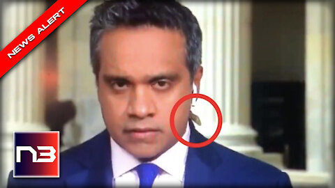 CNN Reporter Absolutely Loses It As Huge Bug Crawls Up His Neck On Camera