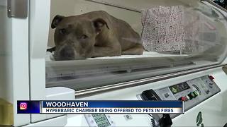 Hyperbaric chamber being offered to pets in fires