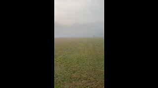 Cross Country Race through the mist