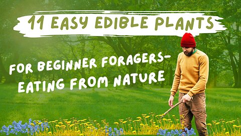 11 Easy Edible Plants for Beginner Foragers- Eating from Nature