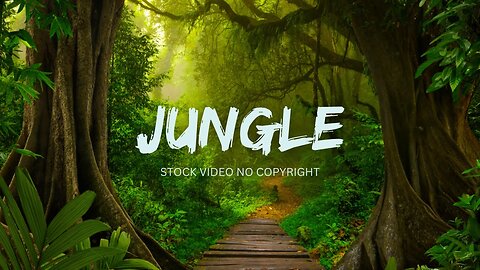 Jungle Stock Video | Jungle Music No Copyright | Forest Background Video | Romance Post BD