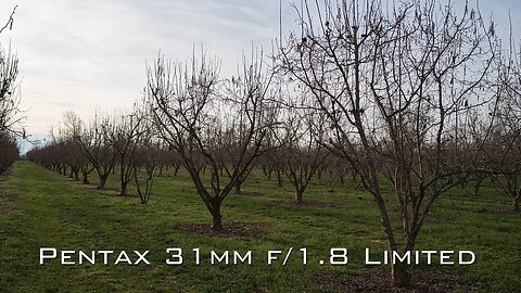 In ITALIANO: HD PENTAX-FA 31mmF1.8 Limited