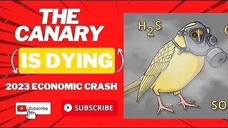 💥Canary In a Coal Mine Proof of Economic Crash 2023 💥 Worst is 8-16 Months Out 💥