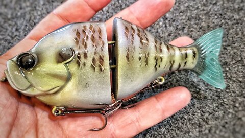 This Swimbait SHOULD cost $300!