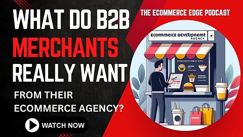 E378:📦WHAT DO B2B MERCHANTS REALLY WANT FROM THEIR ECOMMERCE AGENCY? | AMI VERMA - TECHIES INDIA
