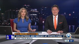Volunteers needed to spruce up Phipps Park in West Palm Beach