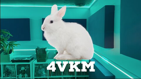 40 Days of 4VKM - Episode 33: Follow the White Rabbit