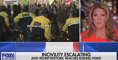 Fox Business host Trish Regan warns of 'emotional civil war' and leftist violence