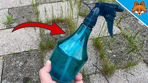 With this MIRACLE CURE you remove Weeds easily 💥 (Suprising) 🤯