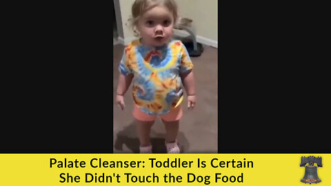Palate Cleanser: Toddler Is Certain She Didn't Touch the Dog Food