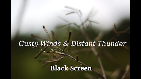 Sounds Of Gusty Wind & Distant Thunder With Black Screen | 3 Hours